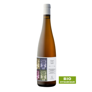 Adam – Cantina Giardinoo