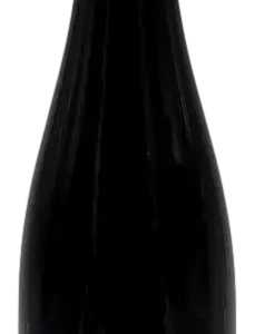 Pinot Noir Bildstoecklé 2017